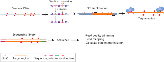 targeted genomic sequence analysis