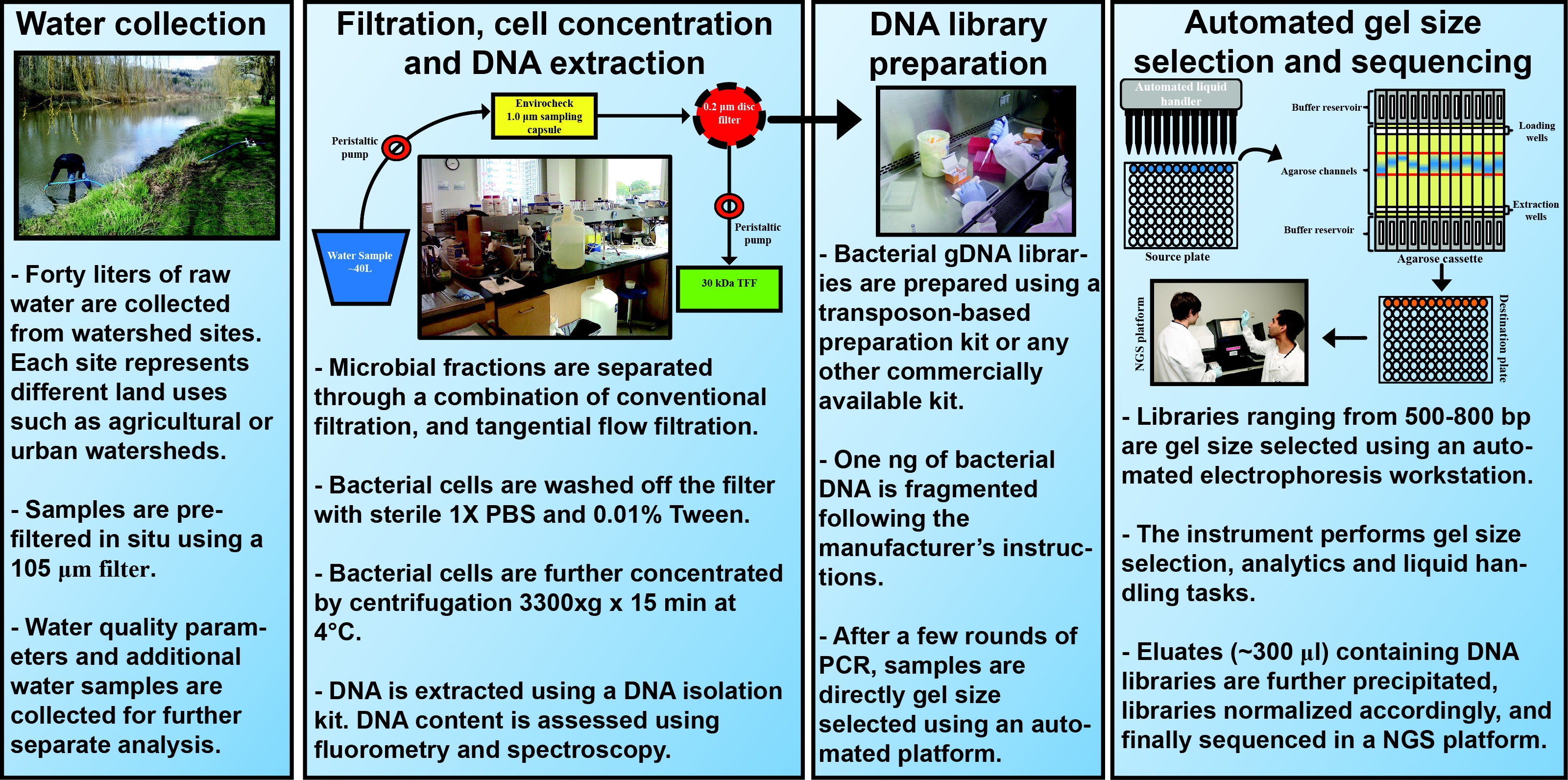 Automated Gel Size Selection To Improve The Quality Of Next Generation Sequencing Libraries Prepared From Environmental Water Samples Protocol Translated To Japanese