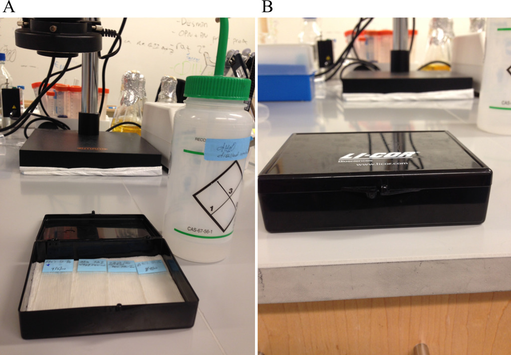 Figure 6