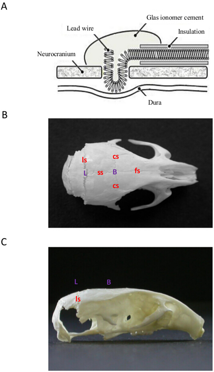 La figure 4a