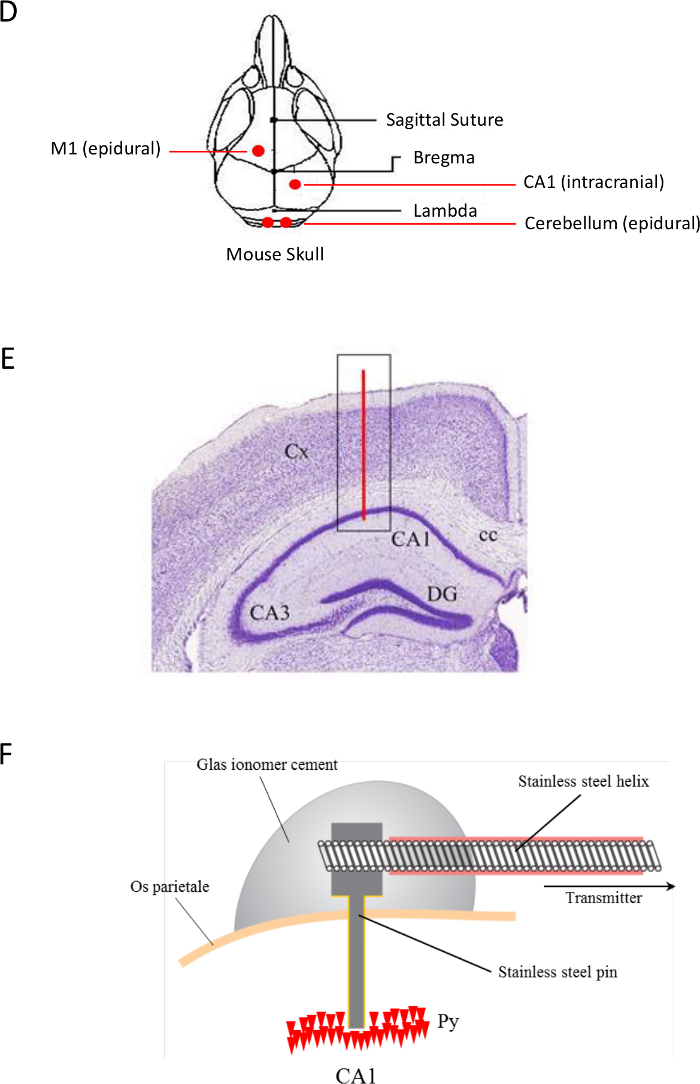 Figure 4b