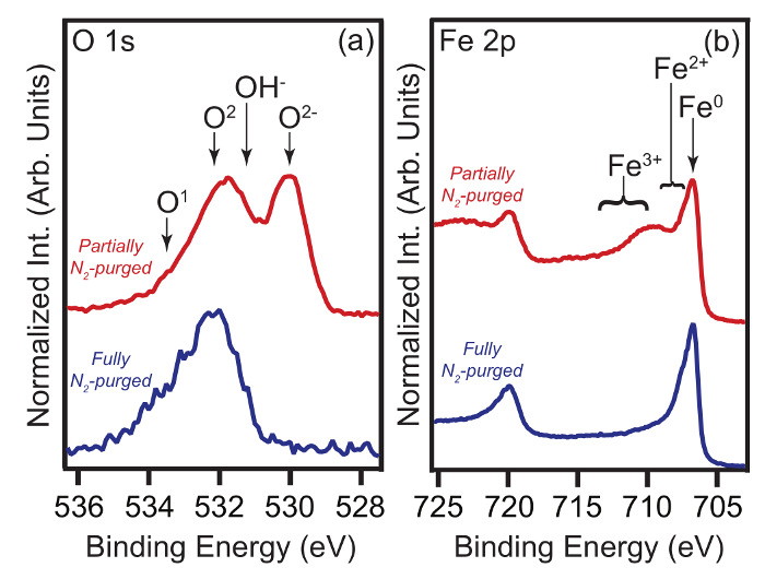 Determining The Chemical Composition Of Corrosion Inhibitor Metal Interfaces With Xps Minimizing Post Immersion Oxidation Protocol Translated To Arabic