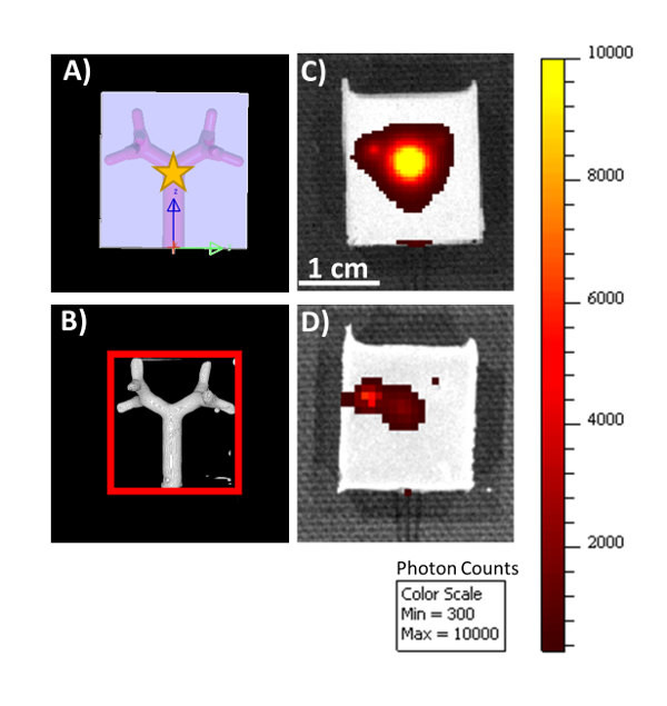 MS-6000) Équipement médical Scanner à ultrasons entièrement