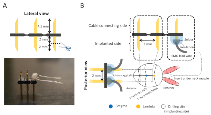 Figure 2