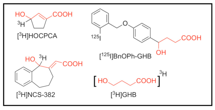 Autoradiography As A Simple And Powerful Method For Visualization And Characterization Of Pharmacological Targets Protocol Translated To Japanese