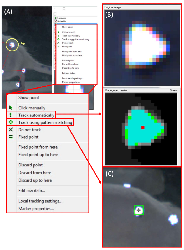 3d Kinematic Gait Analysis For Preclinical Studies In Rodents