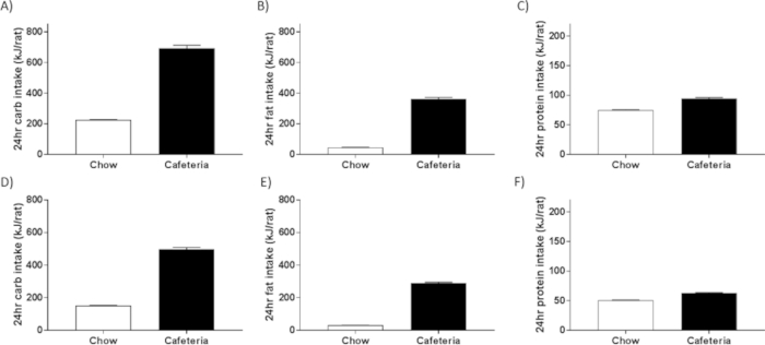 Palatable Western Style Cafeteria Diet As A Reliable Method For Modeling Diet Induced Obesity In Rodents Protocol Translated To Hindi