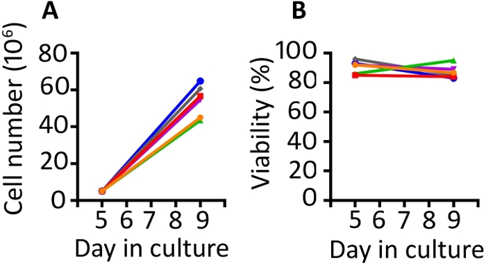 Transduction And Expansion Of Primary T Cells In Nine Days With Maintenance Of Central Memory Phenotype Protocol Translated To Japanese