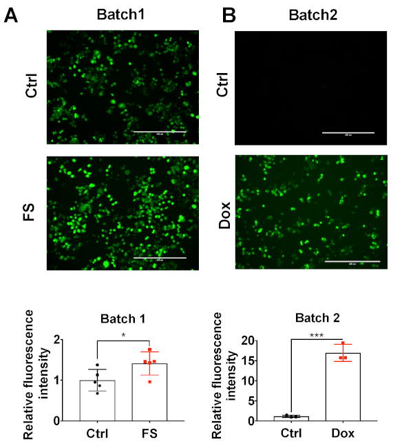 Detection Of Total Reactive Oxygen Species In Adherent Cells By 2 7 Dichlorodihydrofluorescein Diacetate Staining Protocol