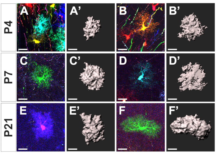 Figure 3