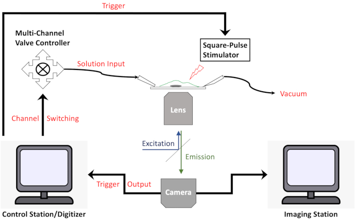 Figure 7