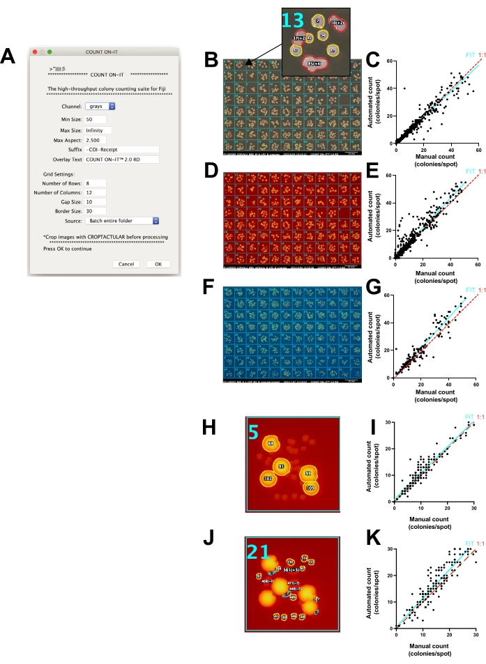 Fast Colony Forming Unit Counting in 96-Well Plate Format Applied to the  Drosophila Microbiome