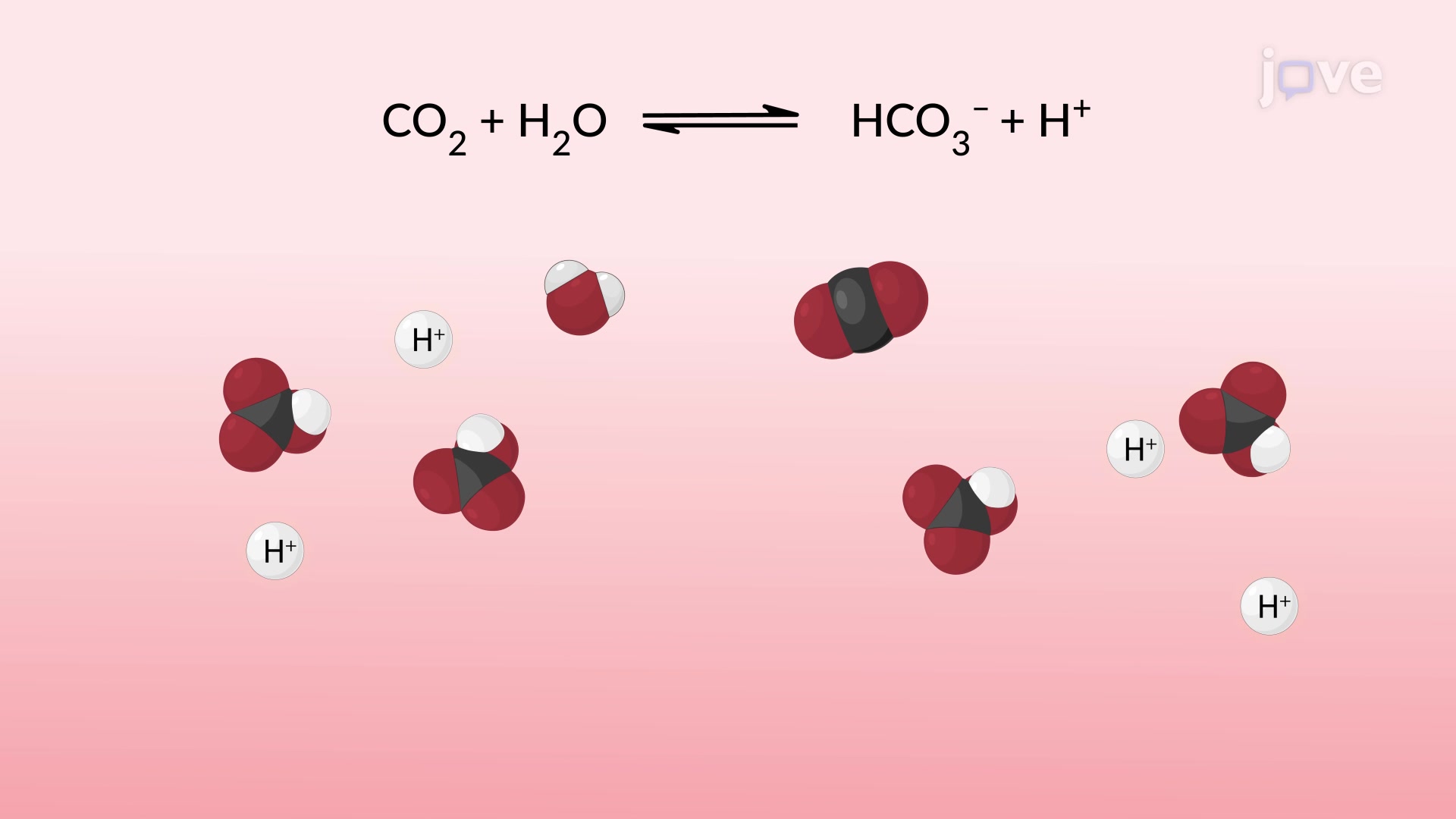Types Of Chemical Reactions Exchange And Reversible Concept