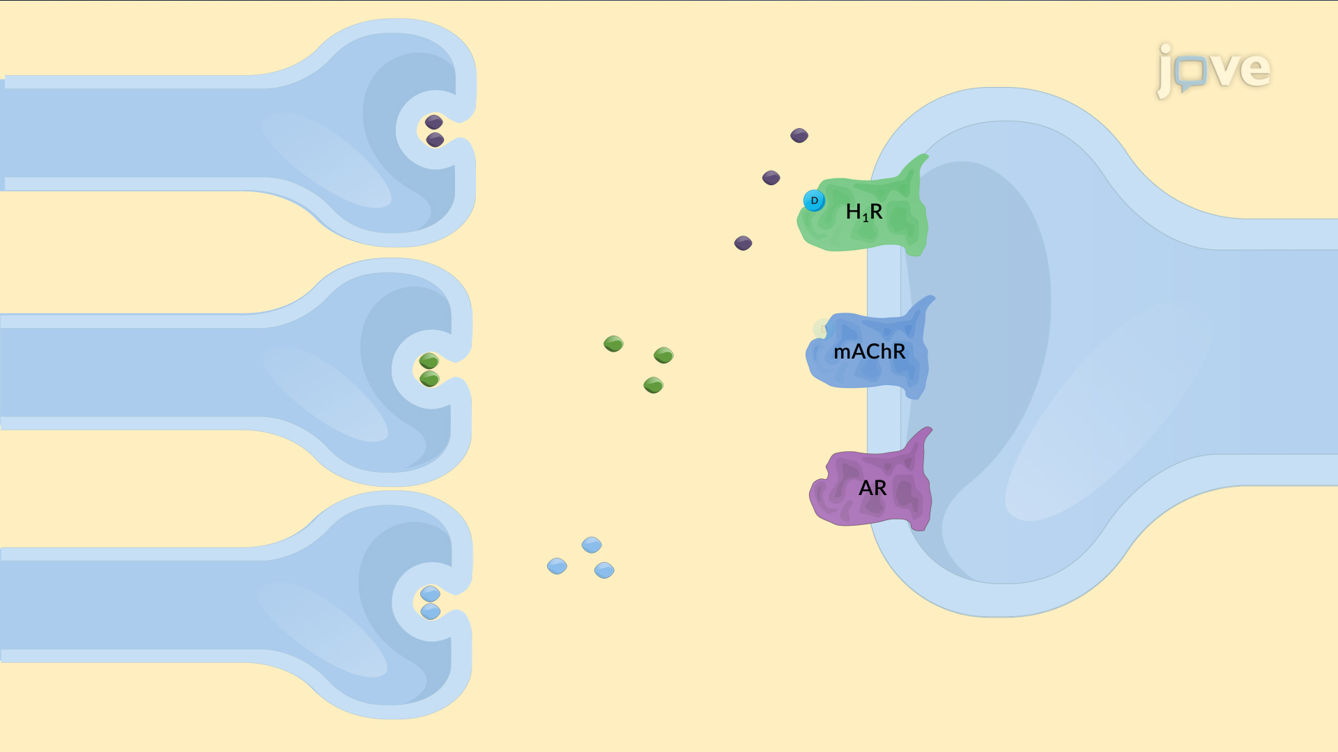 15.2 : Antidepressant Drugs: Overview