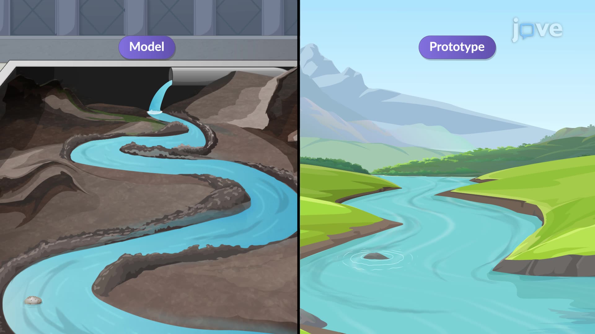 20.7 : Typical Model Studies