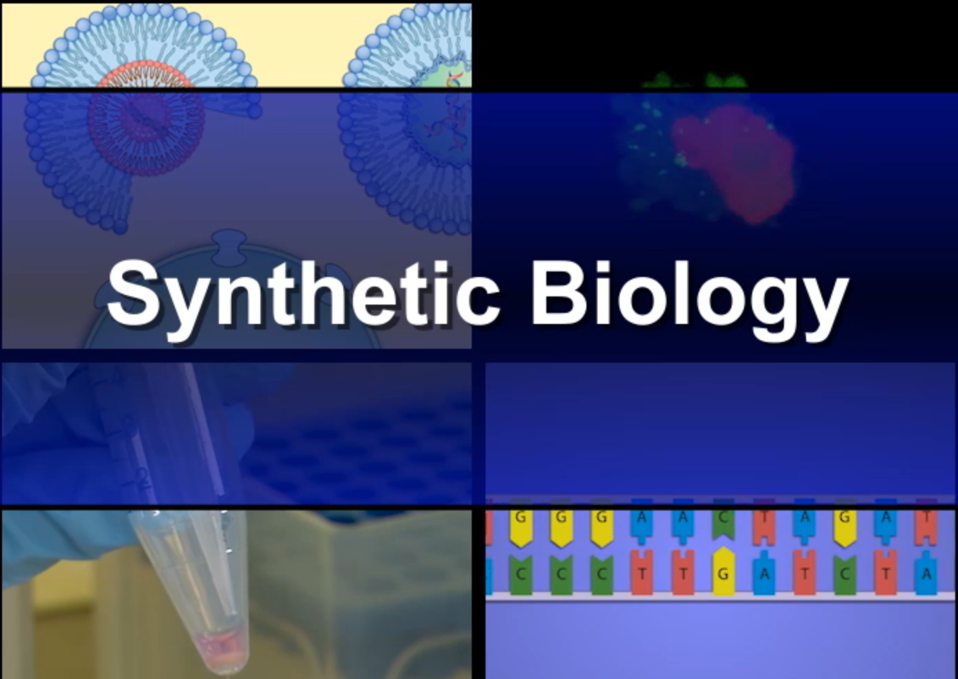 JoVE Methods Collection Synthetic Biology Plug and Play enabling