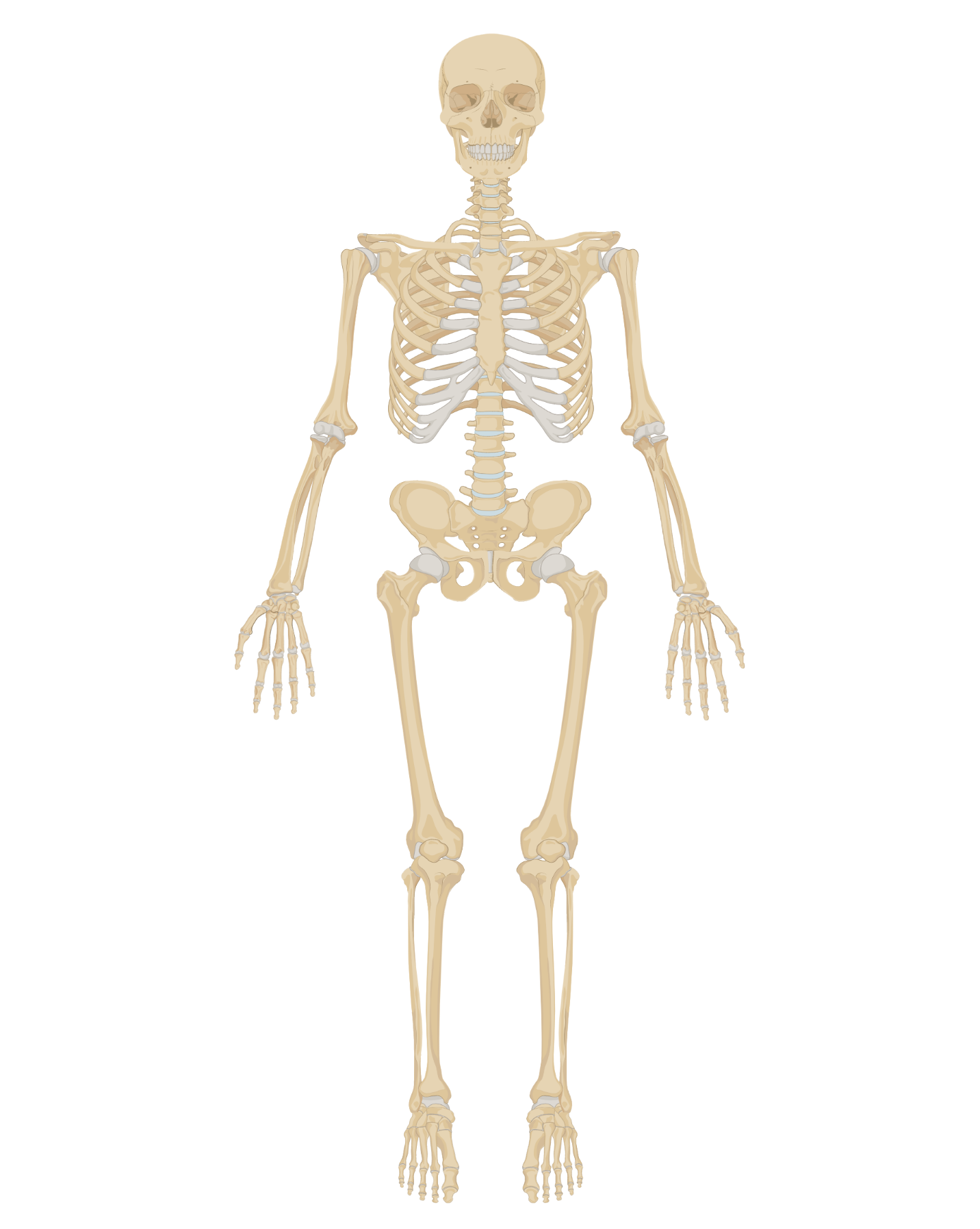 JoVE Methods Collection Cuttingedge methods and applications in